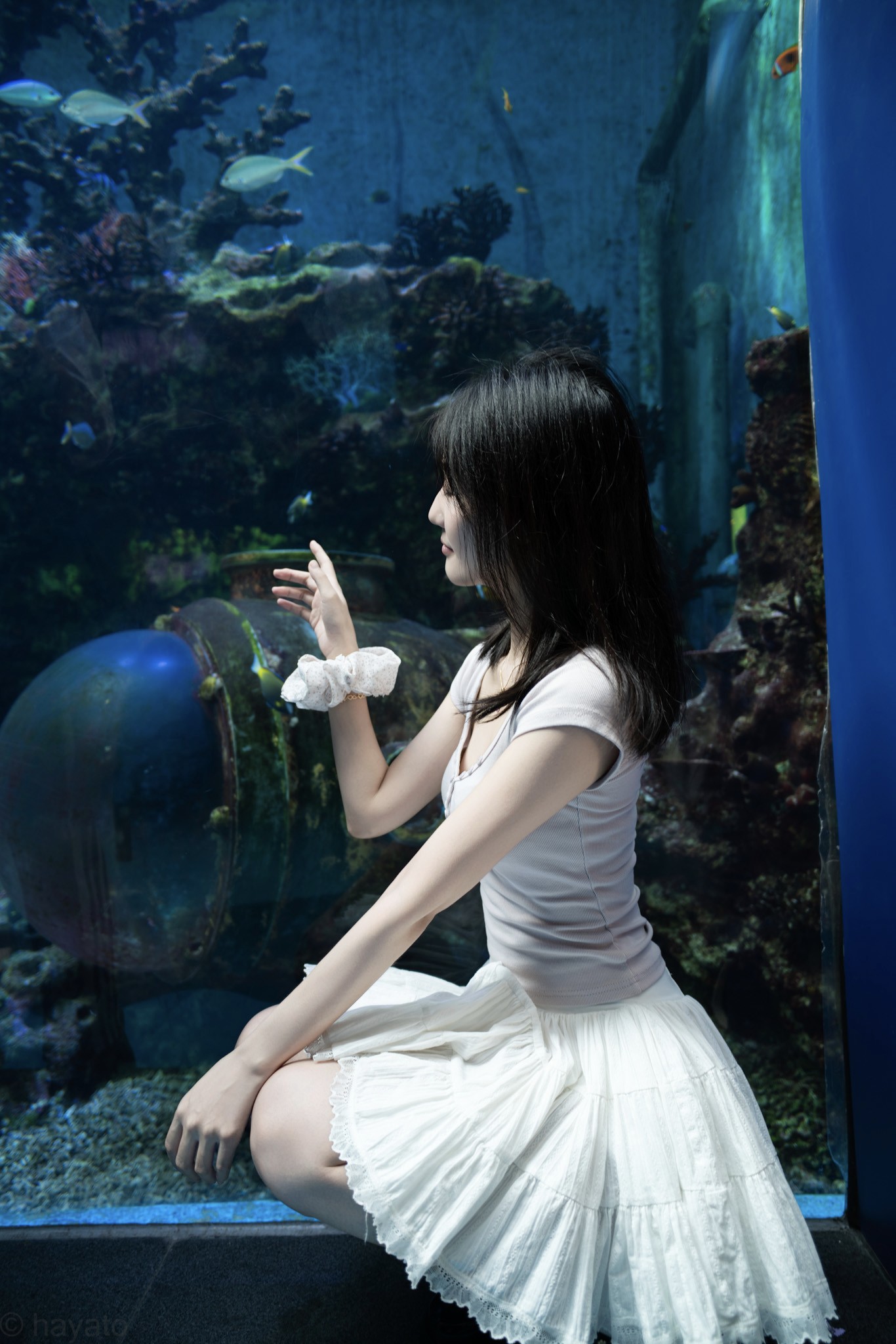 海洋馆人像