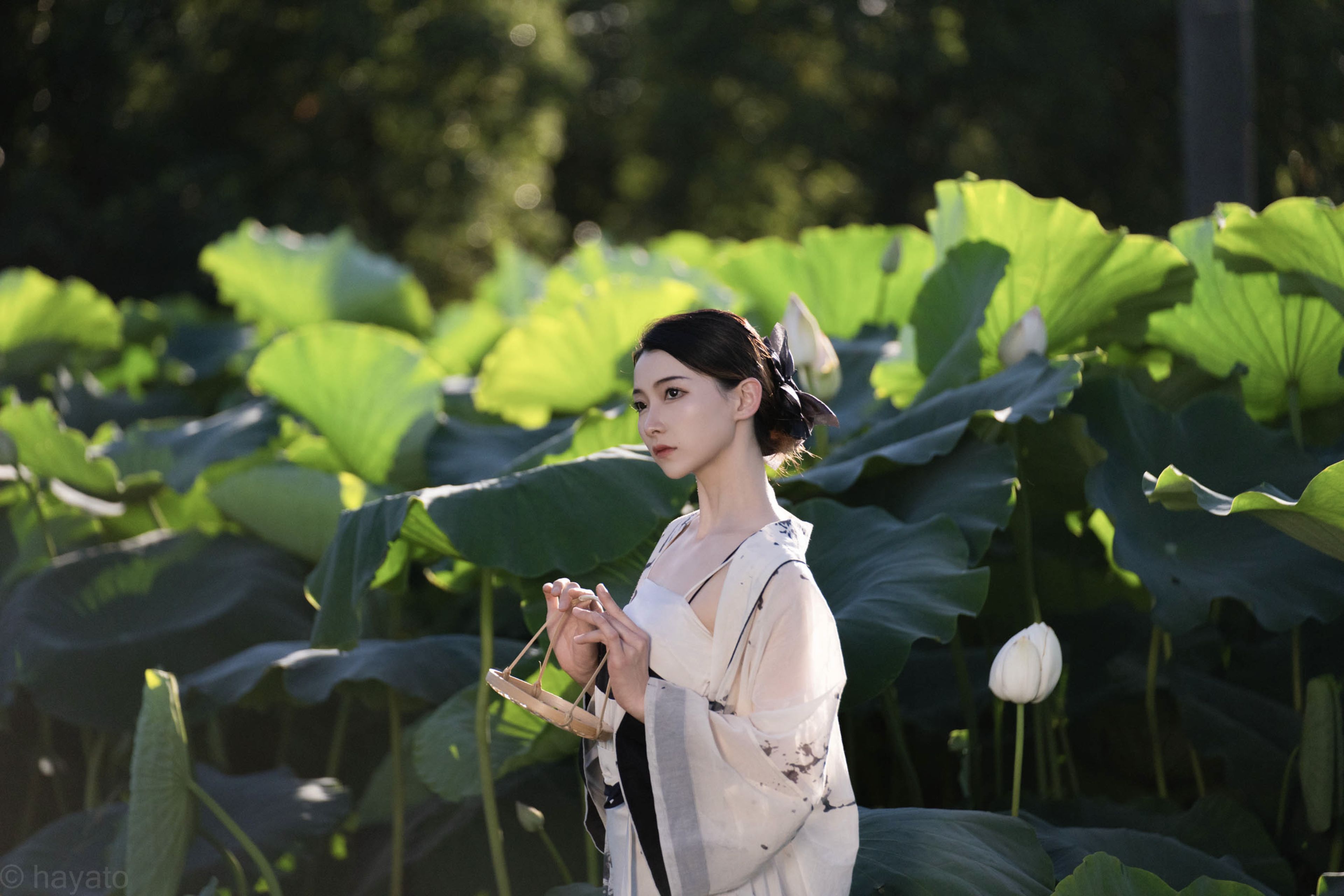 荷花人像