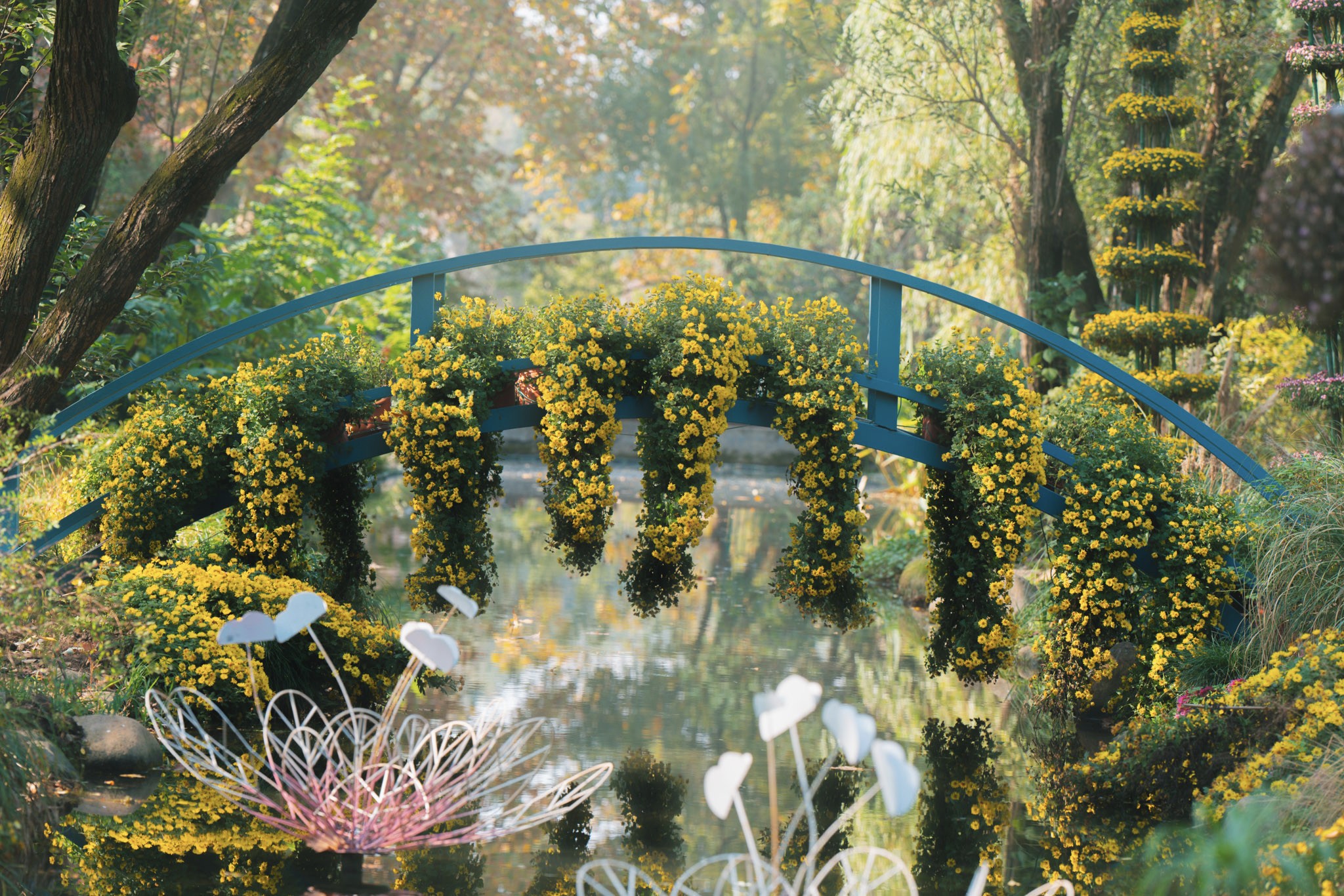 上海共青森林公园