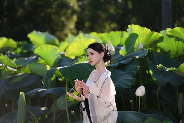荷花人像