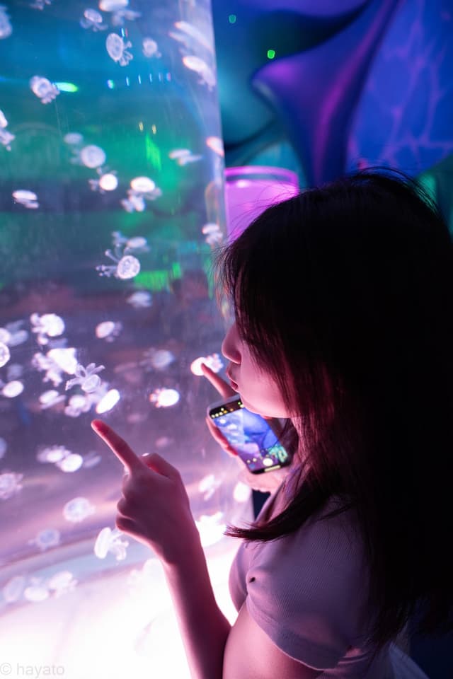 海洋馆人像
